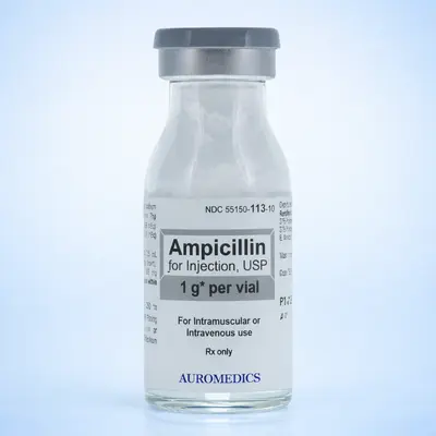 Ampicilline 1g Pdre Inj. B/1