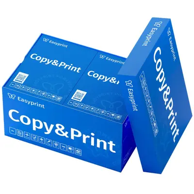Easyprint Copy&Print 5000 feuilles 10 × 500 A4
