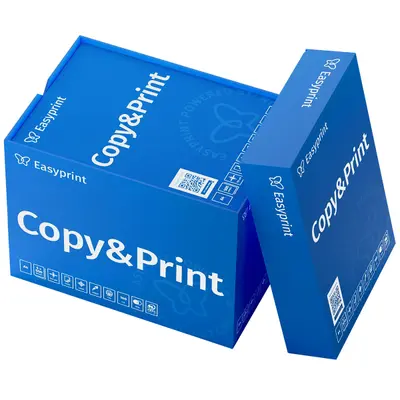 Easyprint Copy&Print 5000 feuilles 5 × 500 A4